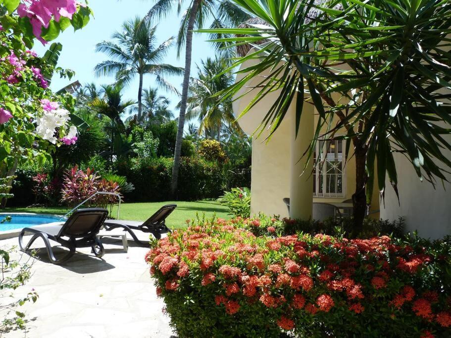 Charming Oceanside 2 Bd Villa Cabarete Ngoại thất bức ảnh