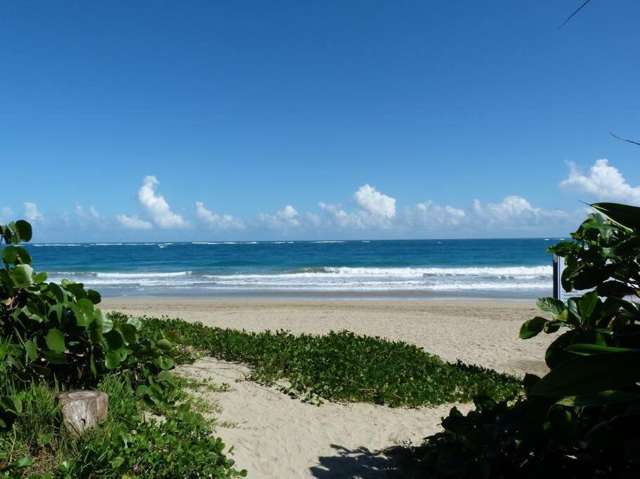 Charming Oceanside 2 Bd Villa Cabarete Ngoại thất bức ảnh